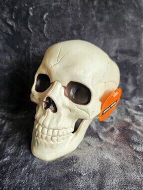 NWT Happy Halloween realistic scary Skull Decorative Prop home in/ outdoor decor